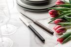 Forge De Laguiole bordkniver designet av ANDREE PUTMAN