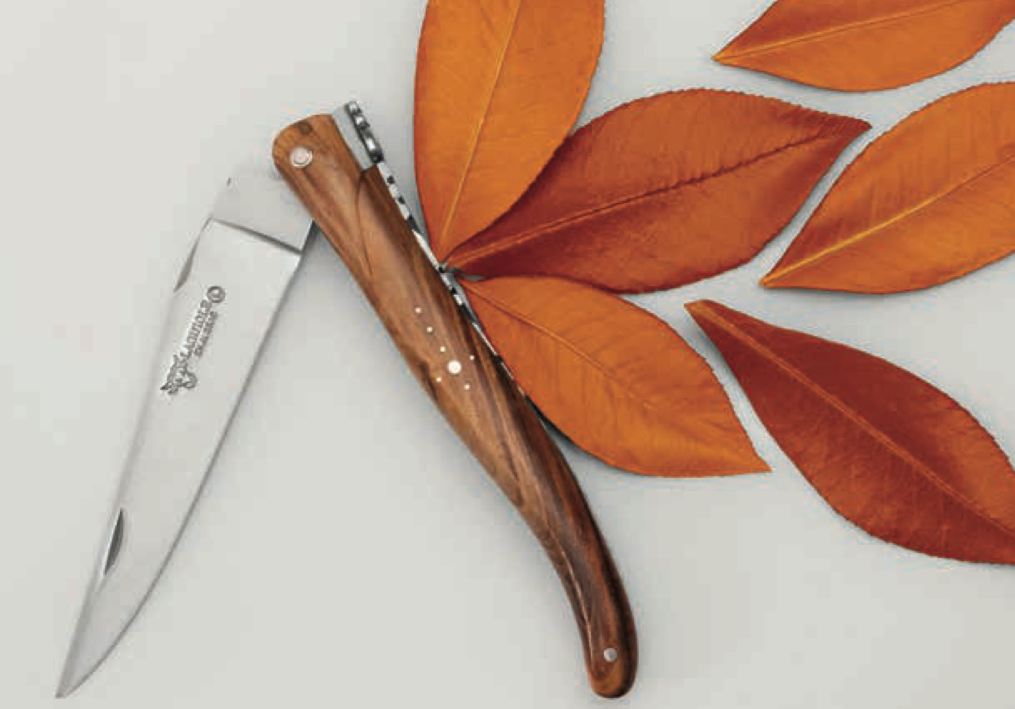 Laguiole En Aubrac - Pistachio - Pocketknife - 12 cm