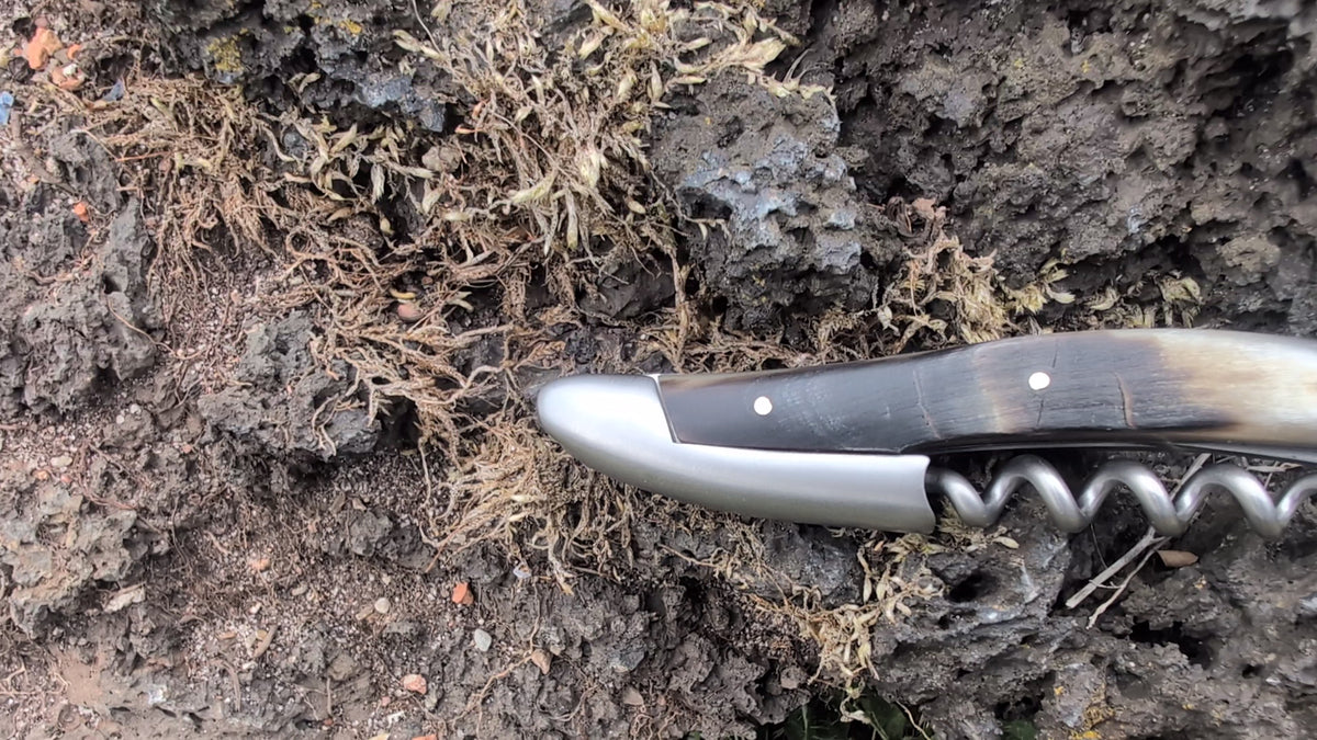 Forge De Laguiole Sommelier Aubrac Horn med sateng stål