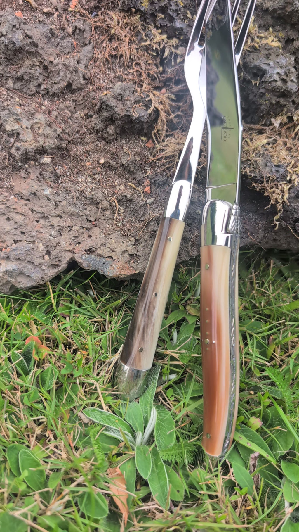 Forge de Laguiole | Lyst Horn
