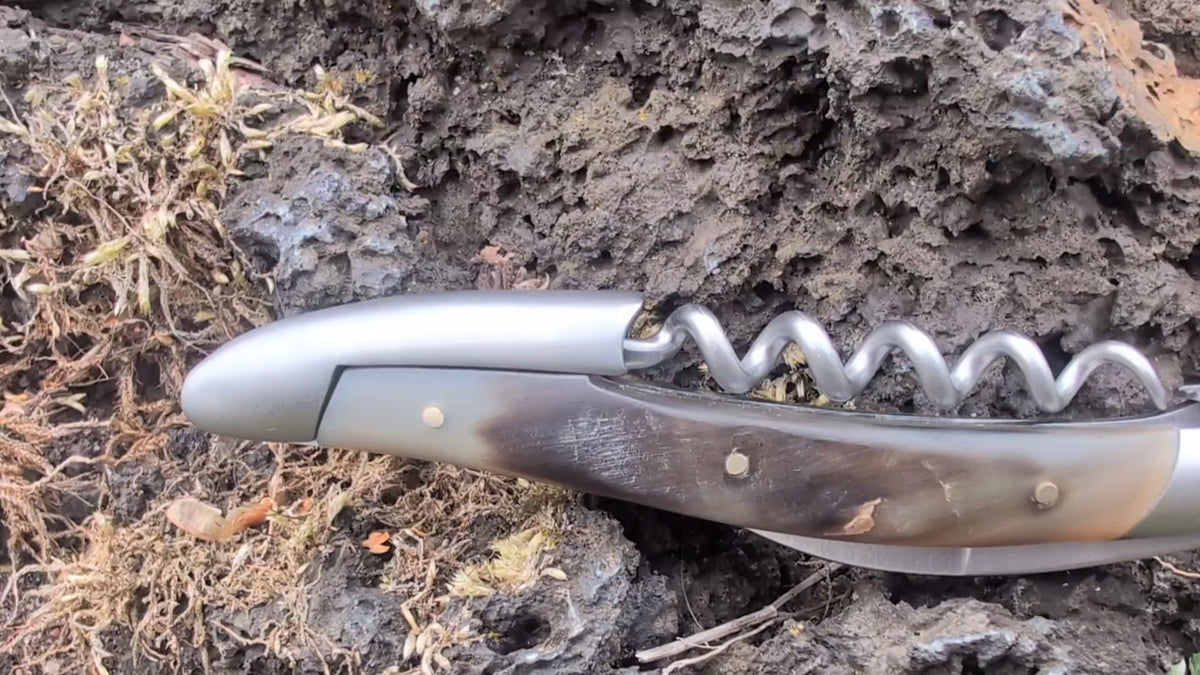 Forge De Laguiole Sommelier Aubrac Horn med sateng stål